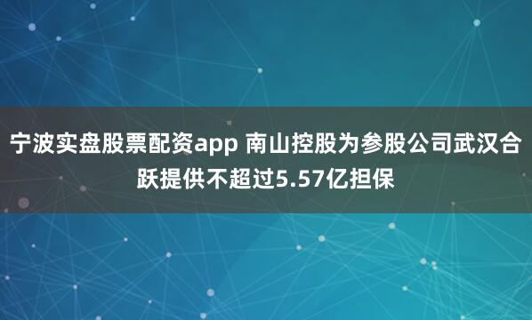 宁波实盘股票配资app 南山控股为参股公司武汉合跃提供不超过5.57亿担保