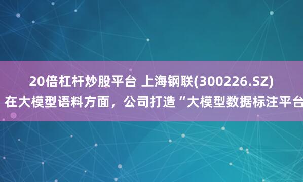 20倍杠杆炒股平台 上海钢联(300226.SZ)：在大模型语料方面，公司打造“大模型数据标注平台”
