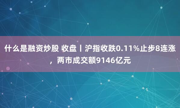 什么是融资炒股 收盘丨沪指收跌0.11%止步8连涨，两市成交额9146亿元