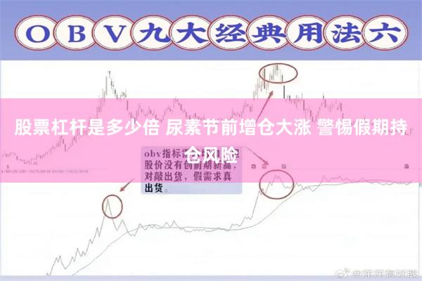 股票杠杆是多少倍 尿素节前增仓大涨 警惕假期持仓风险