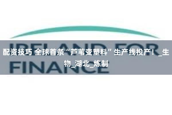 配资技巧 全球首条“芦苇变塑料”生产线投产！_生物_湖北_炼制