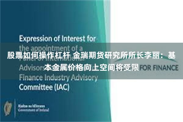 股票如何操作杠杆 金瑞期货研究所所长李丽：基本金属价格向上空间将受限