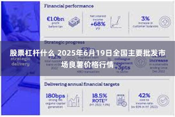 股票杠杆什么 2025年6月19日全国主要批发市场良薯价格行情