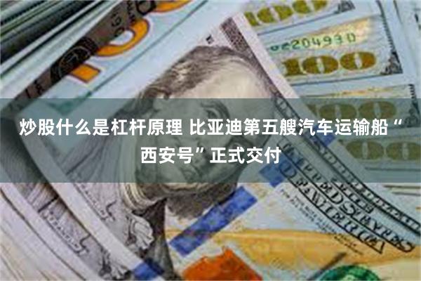 炒股什么是杠杆原理 比亚迪第五艘汽车运输船“西安号”正式交付